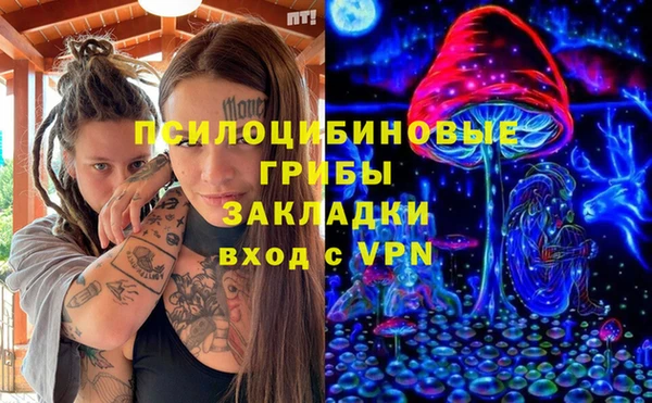 крисы Апатиты