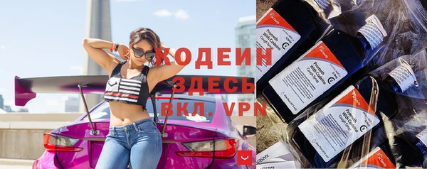 эйфоретик Няндома